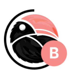 Big Radio Balade